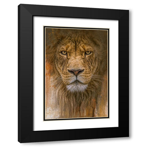 Heart of the Lion Black Modern Wood Framed Art Print with Double Matting by Parker, Kelley