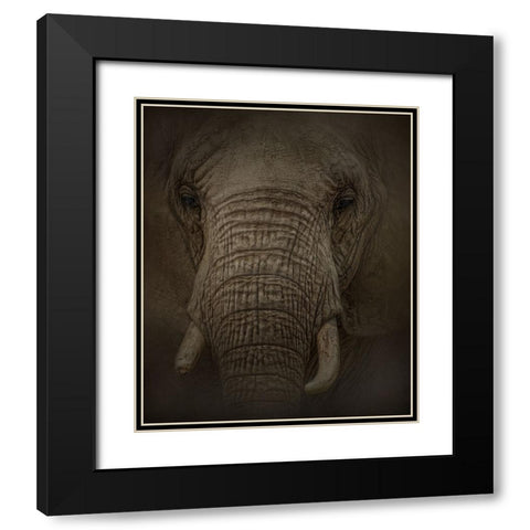 Elephant Dreams Black Modern Wood Framed Art Print with Double Matting by Parker, Kelley