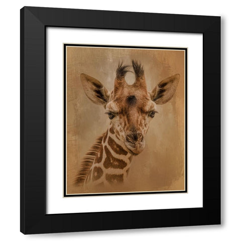 Gentle Giant Black Modern Wood Framed Art Print with Double Matting by Parker, Kelley