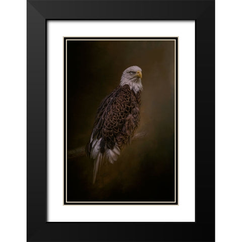 Freedom Flyer Black Modern Wood Framed Art Print with Double Matting by Parker, Kelley