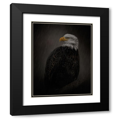 Serenity in Strength Black Modern Wood Framed Art Print with Double Matting by Parker, Kelley