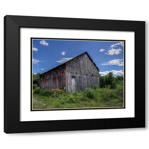 Country Lilies Black Modern Wood Framed Art Print with Double Matting by Parker, Kelley