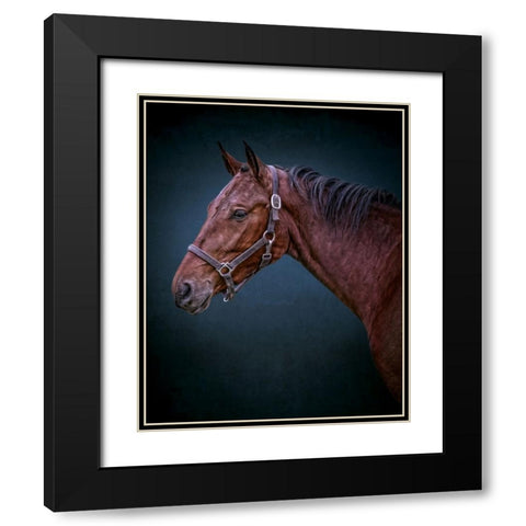 Wild Soul Black Modern Wood Framed Art Print with Double Matting by Parker, Kelley