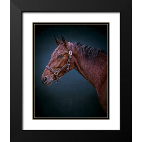 Wild Soul Black Modern Wood Framed Art Print with Double Matting by Parker, Kelley