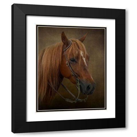 Ready to Compete Black Modern Wood Framed Art Print with Double Matting by Parker, Kelley
