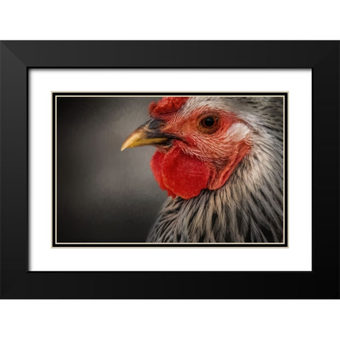 Early Riser Black Modern Wood Framed Art Print with Double Matting by Parker, Kelley