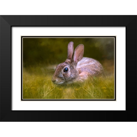 Grassy Bed Black Modern Wood Framed Art Print with Double Matting by Parker, Kelley