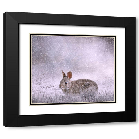 Snow Hopper Black Modern Wood Framed Art Print with Double Matting by Parker, Kelley