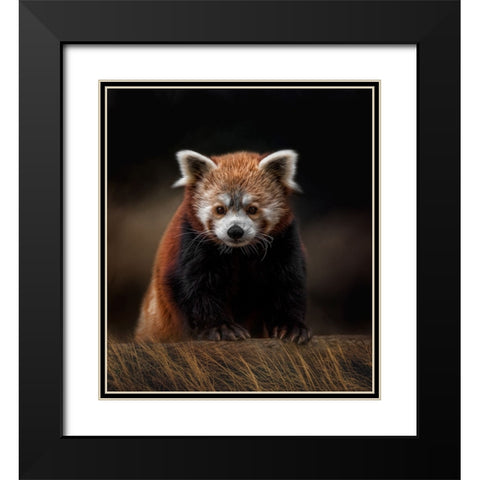 The Explorer Black Modern Wood Framed Art Print with Double Matting by Parker, Kelley