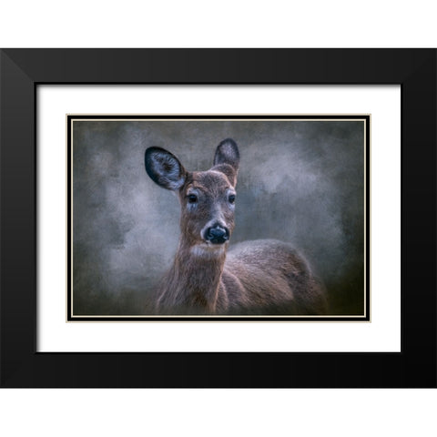 Wild Beauty Black Modern Wood Framed Art Print with Double Matting by Parker, Kelley