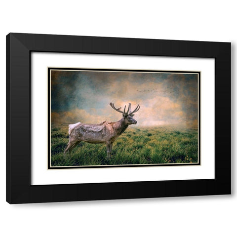 The Lone Leader Black Modern Wood Framed Art Print with Double Matting by Parker, Kelley