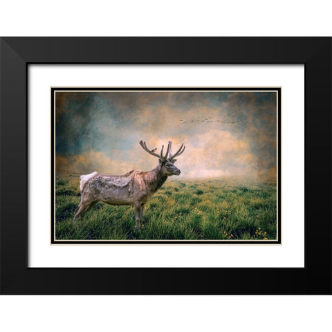 The Lone Leader Black Modern Wood Framed Art Print with Double Matting by Parker, Kelley