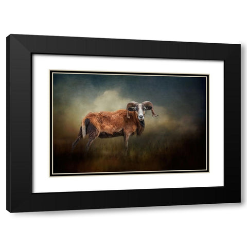 Focused on You Black Modern Wood Framed Art Print with Double Matting by Parker, Kelley