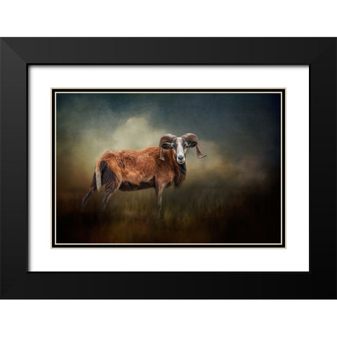 Focused on You Black Modern Wood Framed Art Print with Double Matting by Parker, Kelley