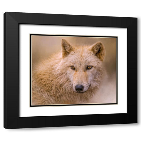 Clever Eyes Black Modern Wood Framed Art Print with Double Matting by Parker, Kelley