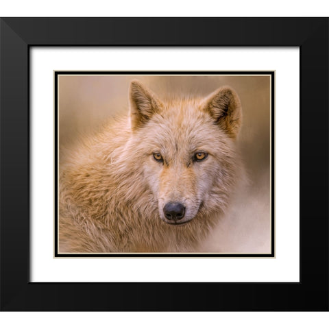 Clever Eyes Black Modern Wood Framed Art Print with Double Matting by Parker, Kelley