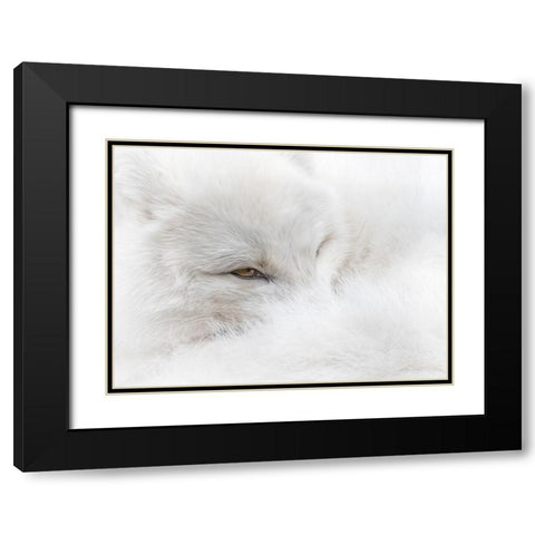 White on White Black Modern Wood Framed Art Print with Double Matting by Parker, Kelley
