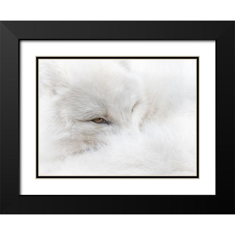 White on White Black Modern Wood Framed Art Print with Double Matting by Parker, Kelley
