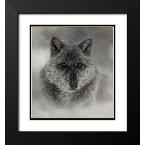 Winter Wolf Black Modern Wood Framed Art Print with Double Matting by Parker, Kelley