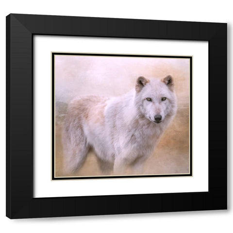 Wolf Quest Black Modern Wood Framed Art Print with Double Matting by Parker, Kelley