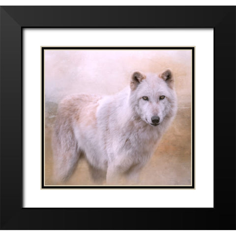 Wolf Quest Black Modern Wood Framed Art Print with Double Matting by Parker, Kelley