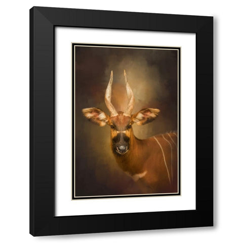 The Wild Star Black Modern Wood Framed Art Print with Double Matting by Parker, Kelley