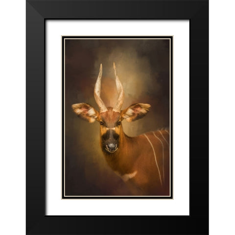 The Wild Star Black Modern Wood Framed Art Print with Double Matting by Parker, Kelley