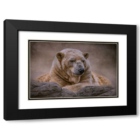 A Bears Life Black Modern Wood Framed Art Print with Double Matting by Parker, Kelley