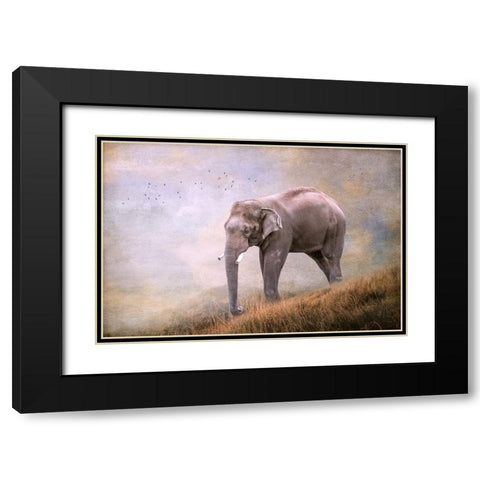 Silent Traveler Black Modern Wood Framed Art Print with Double Matting by Parker, Kelley