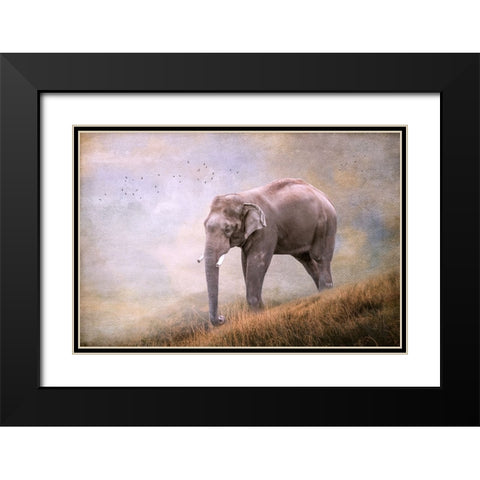 Silent Traveler Black Modern Wood Framed Art Print with Double Matting by Parker, Kelley