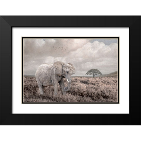 Time to Move On Black Modern Wood Framed Art Print with Double Matting by Parker, Kelley