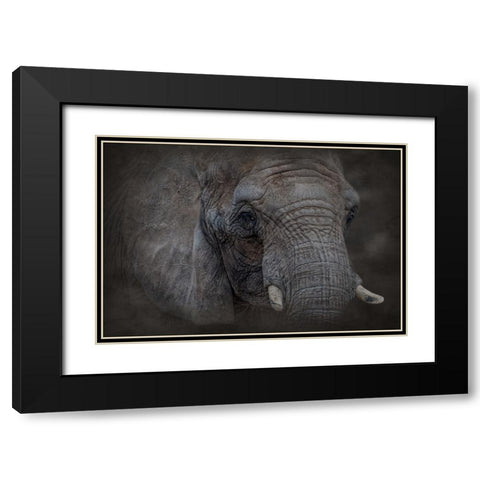 Textured Black Modern Wood Framed Art Print with Double Matting by Parker, Kelley