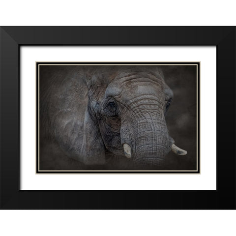 Textured Black Modern Wood Framed Art Print with Double Matting by Parker, Kelley