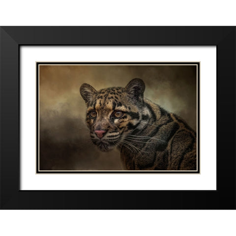 Locked On Black Modern Wood Framed Art Print with Double Matting by Parker, Kelley
