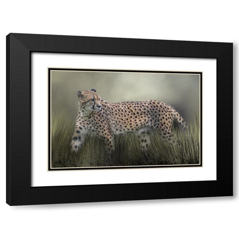 The Look Back Black Modern Wood Framed Art Print with Double Matting by Parker, Kelley