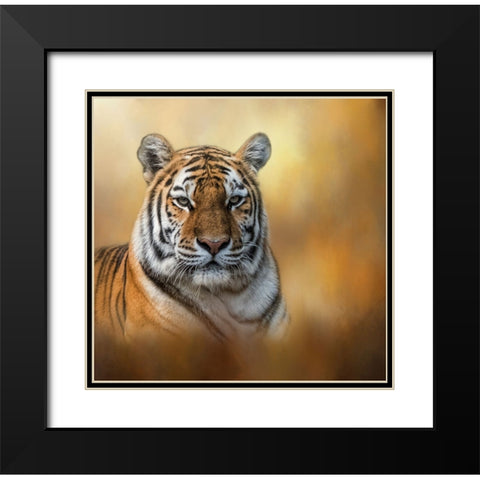 Tiger Queen Black Modern Wood Framed Art Print with Double Matting by Parker, Kelley