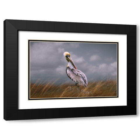 Pelican Way Black Modern Wood Framed Art Print with Double Matting by Parker, Kelley
