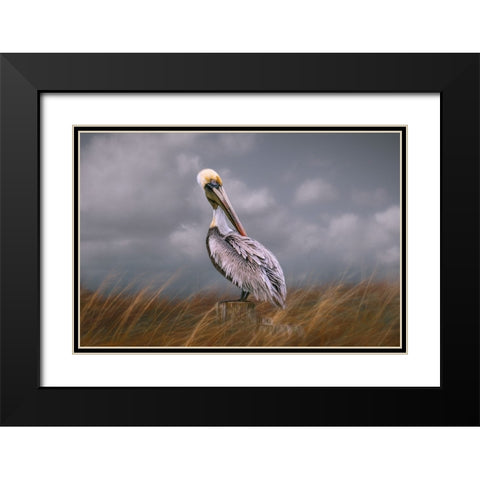 Pelican Way Black Modern Wood Framed Art Print with Double Matting by Parker, Kelley