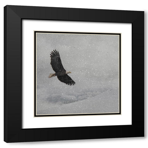 Peace on Earth Black Modern Wood Framed Art Print with Double Matting by Parker, Kelley