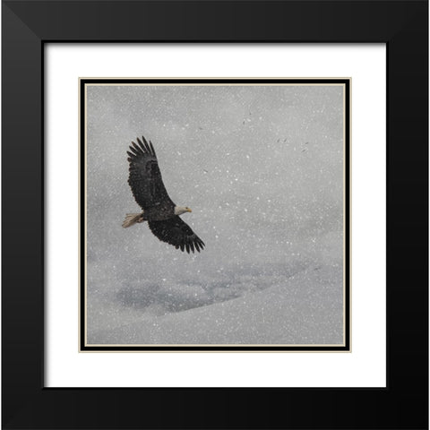 Peace on Earth Black Modern Wood Framed Art Print with Double Matting by Parker, Kelley