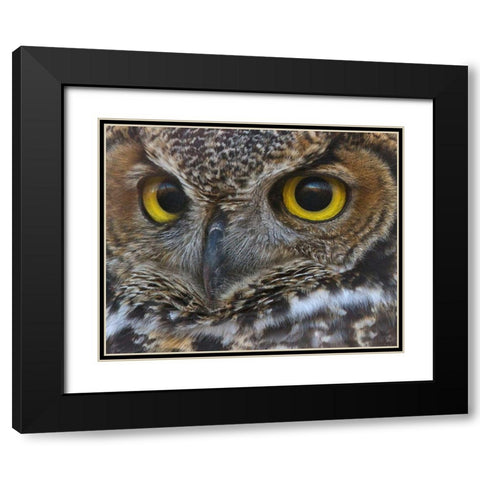 Owl Eyes Black Modern Wood Framed Art Print with Double Matting by McFerrin, Larry
