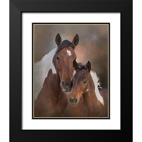 Smore and Chippewa - S Steens Mustangs Black Modern Wood Framed Art Print with Double Matting by McFerrin, Larry