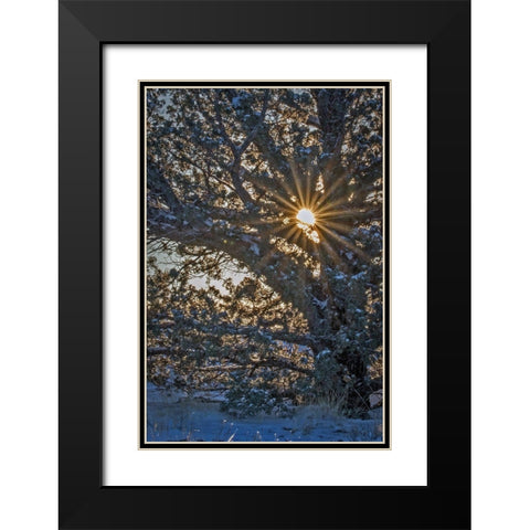 New Years Steens Mountain Sunrise Black Modern Wood Framed Art Print with Double Matting by McFerrin, Larry