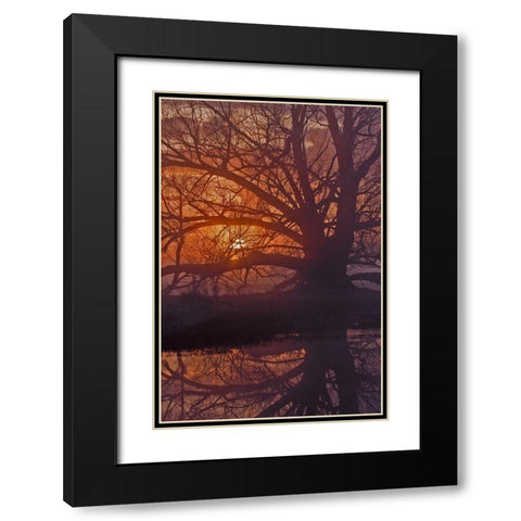 Foggy Sunrise Black Modern Wood Framed Art Print with Double Matting by McFerrin, Larry