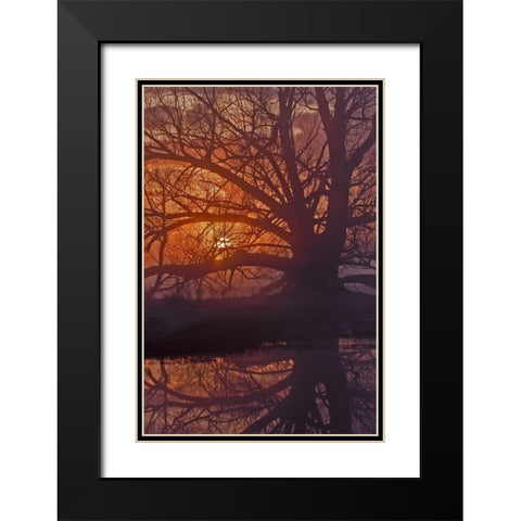 Foggy Sunrise Black Modern Wood Framed Art Print with Double Matting by McFerrin, Larry