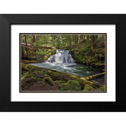 Whitehorse Falls Black Modern Wood Framed Art Print with Double Matting by McFerrin, Larry