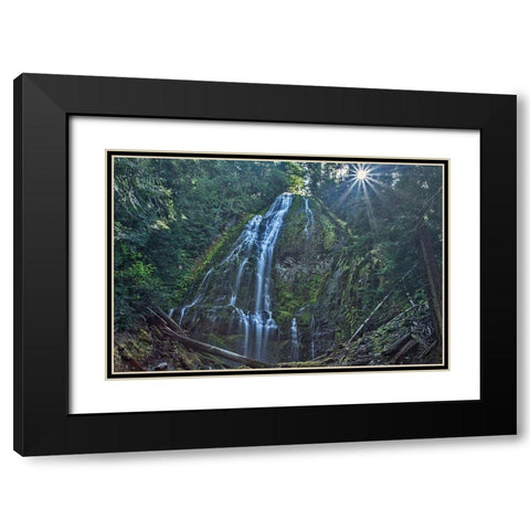 Lower Proxy Falls Black Modern Wood Framed Art Print with Double Matting by McFerrin, Larry