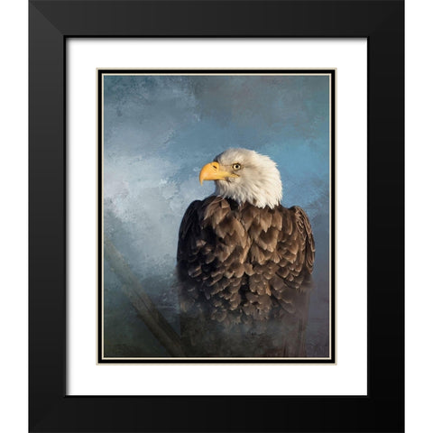 Bald Eagle Black Modern Wood Framed Art Print with Double Matting by McFerrin, Larry