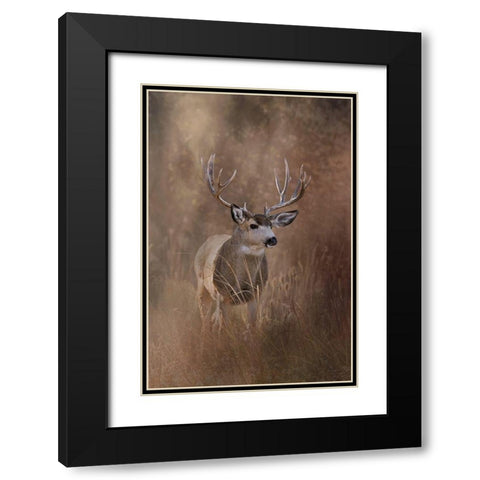Muley - Malheur Black Modern Wood Framed Art Print with Double Matting by McFerrin, Larry