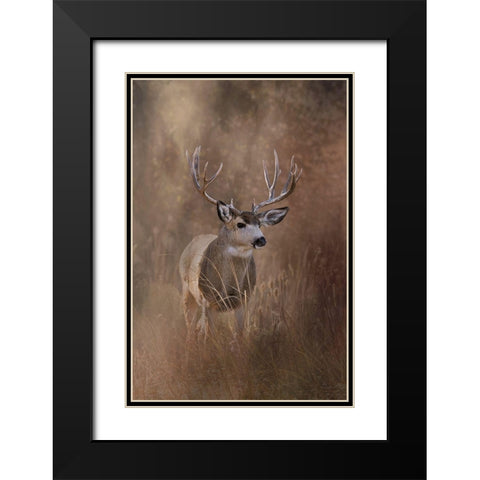 Muley - Malheur Black Modern Wood Framed Art Print with Double Matting by McFerrin, Larry